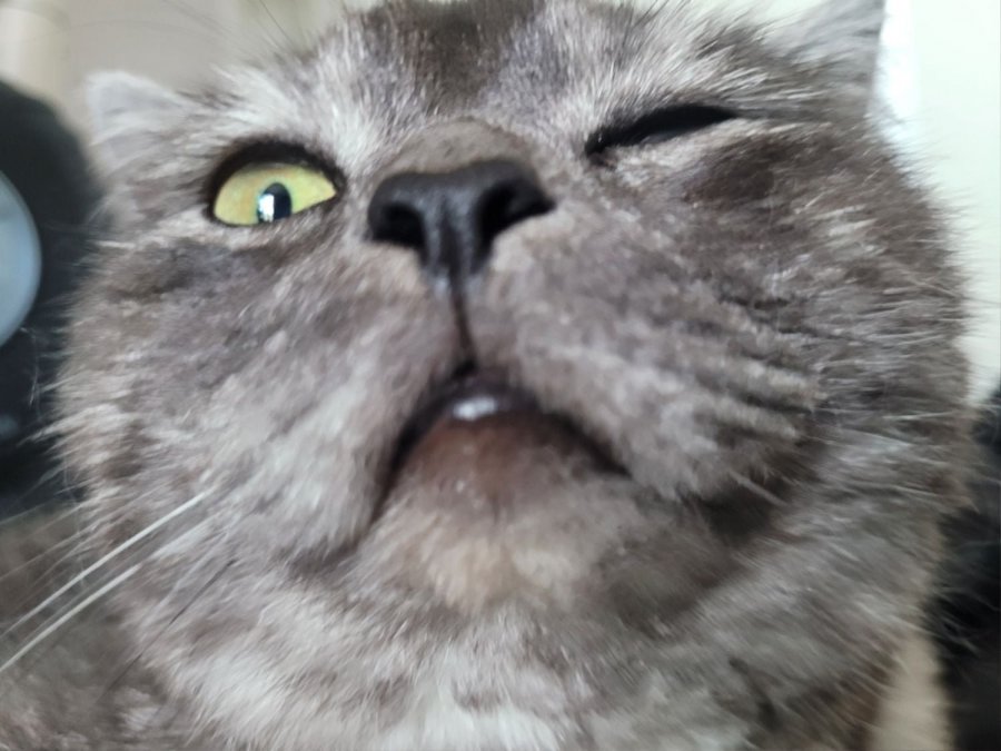 츮 