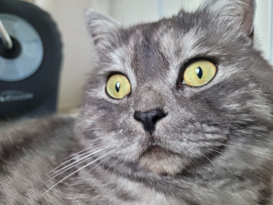 츮 