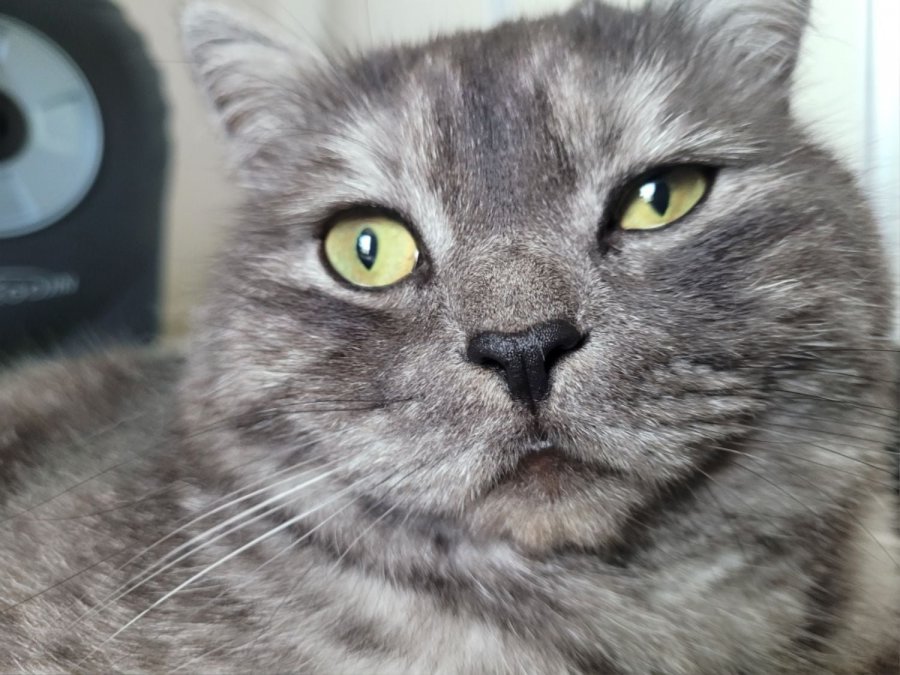 츮 