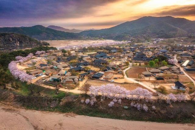 안동 하회마을의 봄 사진한국관광공사