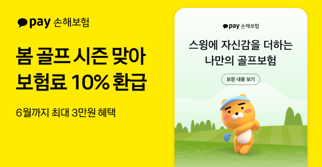 사진카카오페이손해보험