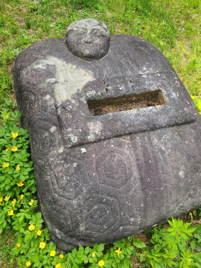 °ÅºÏÀÌ ¸Ó¸® »çÁøÀ±ÁÖÇý ±âÀÚ