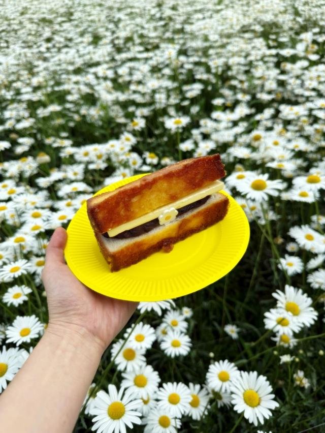 ¾Ó¹öÅÍ È²±ÝÅ佺Ʈ »çÁø±â¼öÁ¤ ±âÀÚ