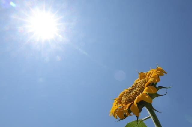 Æø¿°¿¡µµ ÇÞºµ ¹Ù¶óº¸´Â ÇØ¹Ù¶ó±â »çÁø¿¬ÇÕ´º½º