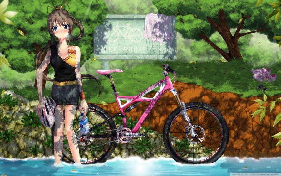 1392382483_girl_with_bicycle_wallpaper_1680x1050.jpg