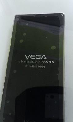 1394528820_vega_iron.jpg