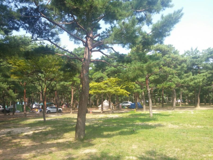 양양오토캠핑장 후기 - 뽐뿌:캠핑포럼 양양오토캠핑장 후기