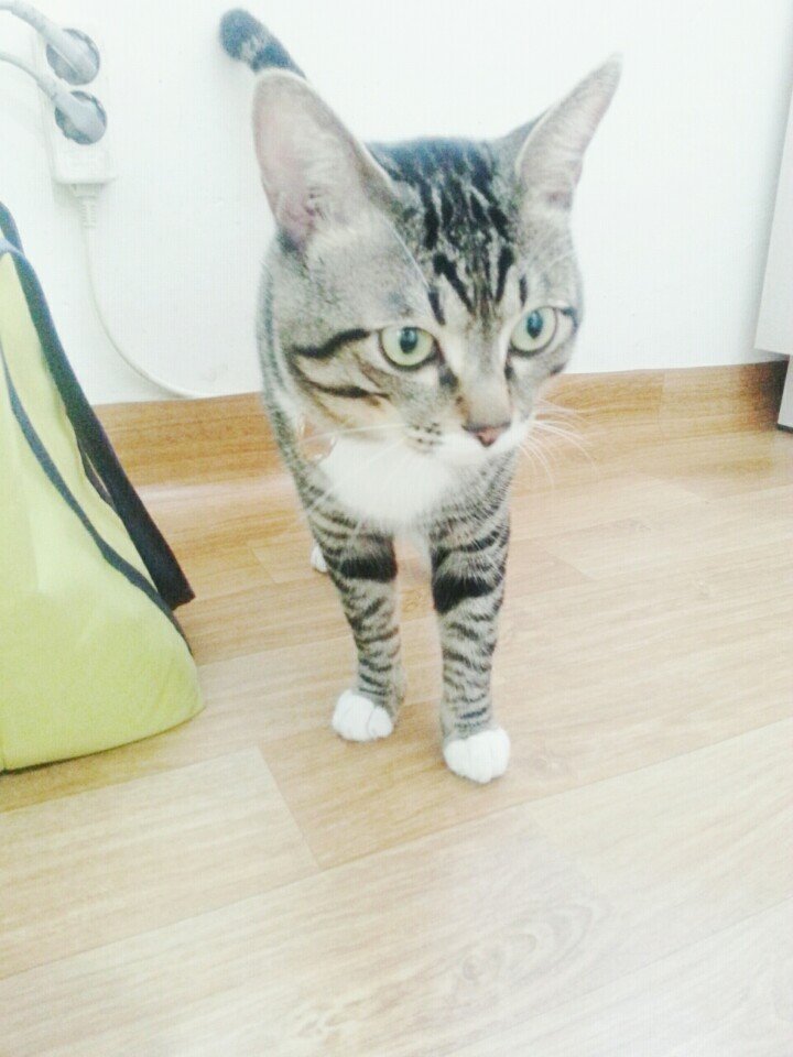 1441009077_KakaoTalk_20150829_182810350.jpg