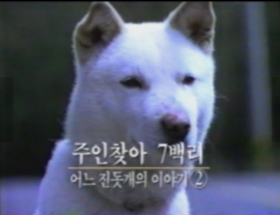 중학교때...정말 힘들게 샀던 컴퓨터 - 뽐뿌:자유게시판 중학교때...정말 힘들게 샀던 컴퓨터