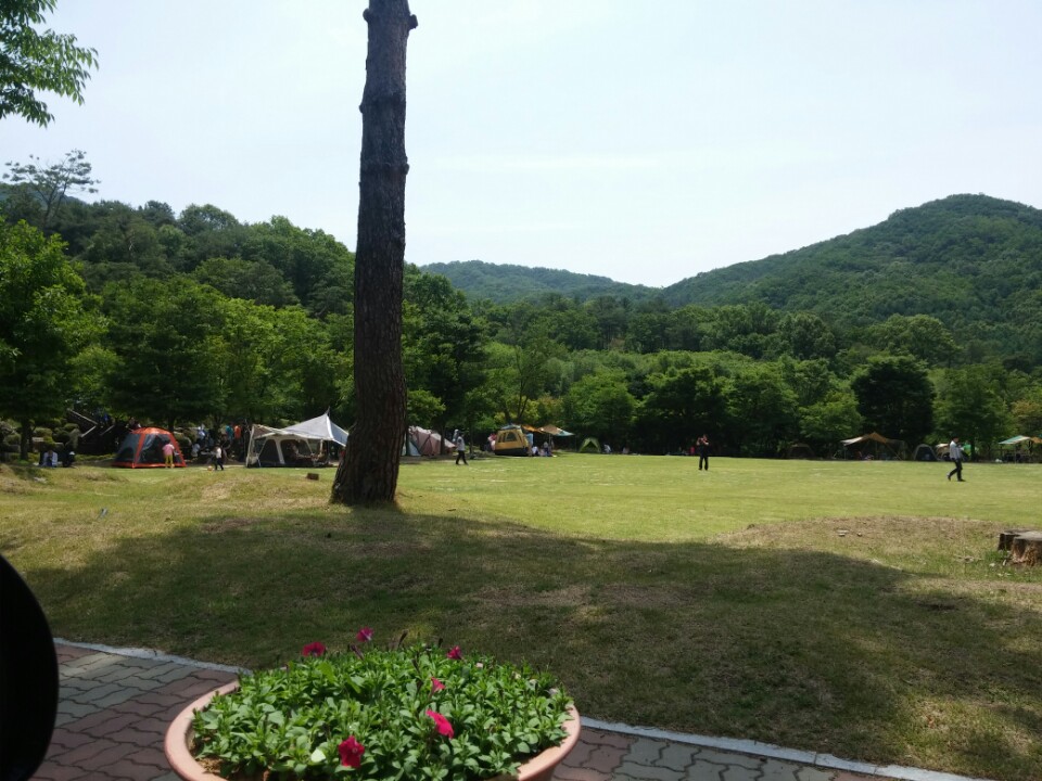 용인자연휴양림 늦은 간략후기 - 뽐뿌:캠핑포럼 용인자연휴양림 늦은 간략후기