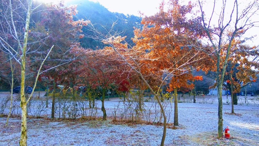 2017.11.10~12 원주 치악신림오토캠핑장 및 치악산 등산 후기~!! (사진 매우많음.데이터 주의!!) - 뽐뿌:캠핑포럼 2017.11.10~12 원주... 