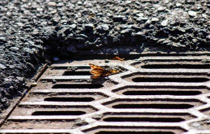 _DSC9330.jpg