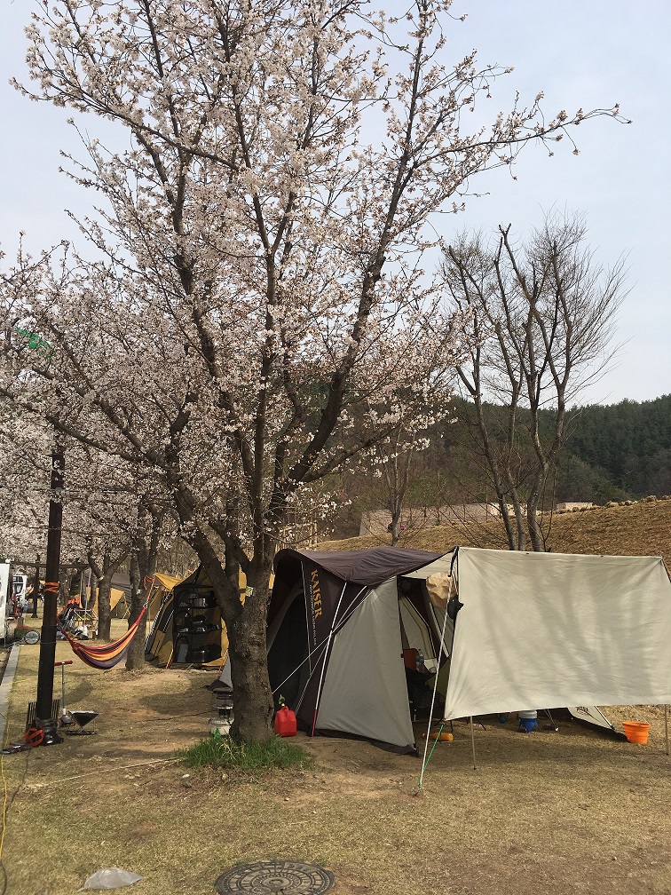 지난주 고령 대가야캠핑장 후기 - 뽐뿌:캠핑포럼 지난주 고령 대가야캠핑장 후기