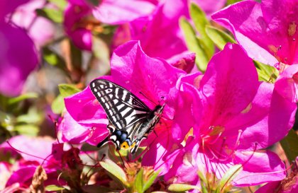 _DSC5978.jpg