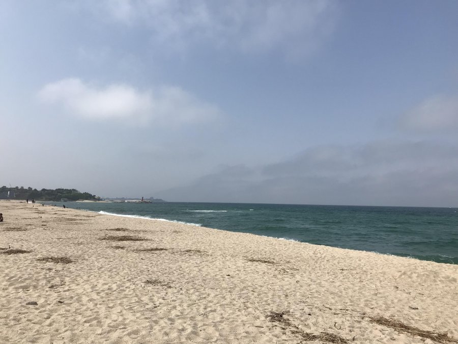 첫캠핑 후기 (연곡솔향기캠핑장) - 뽐뿌:캠핑포럼 첫캠핑 후기 (연곡솔향기캠핑장)