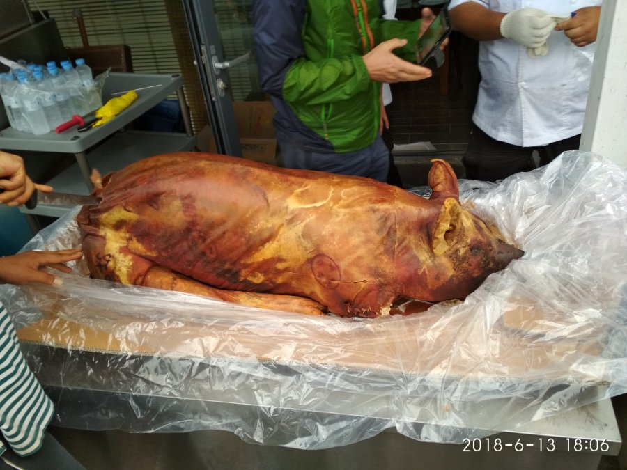 제주도가서 통돼지 한마리 잡았네요 - 뽐뿌:자유게시판 제주도가서 통돼지 한마리 잡았네요