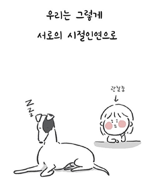 시절 인연(時節因緣)? - 뽐뿌:자유게시판 시절 인연(時節因緣)?