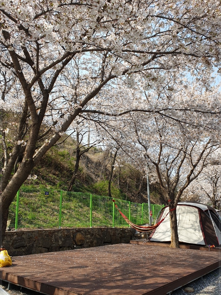 밀양 패밀리 캠핑장을 다녀왔습니다 - 뽐뿌:캠핑포럼 밀양 패밀리 캠핑장을 다녀왔습니다