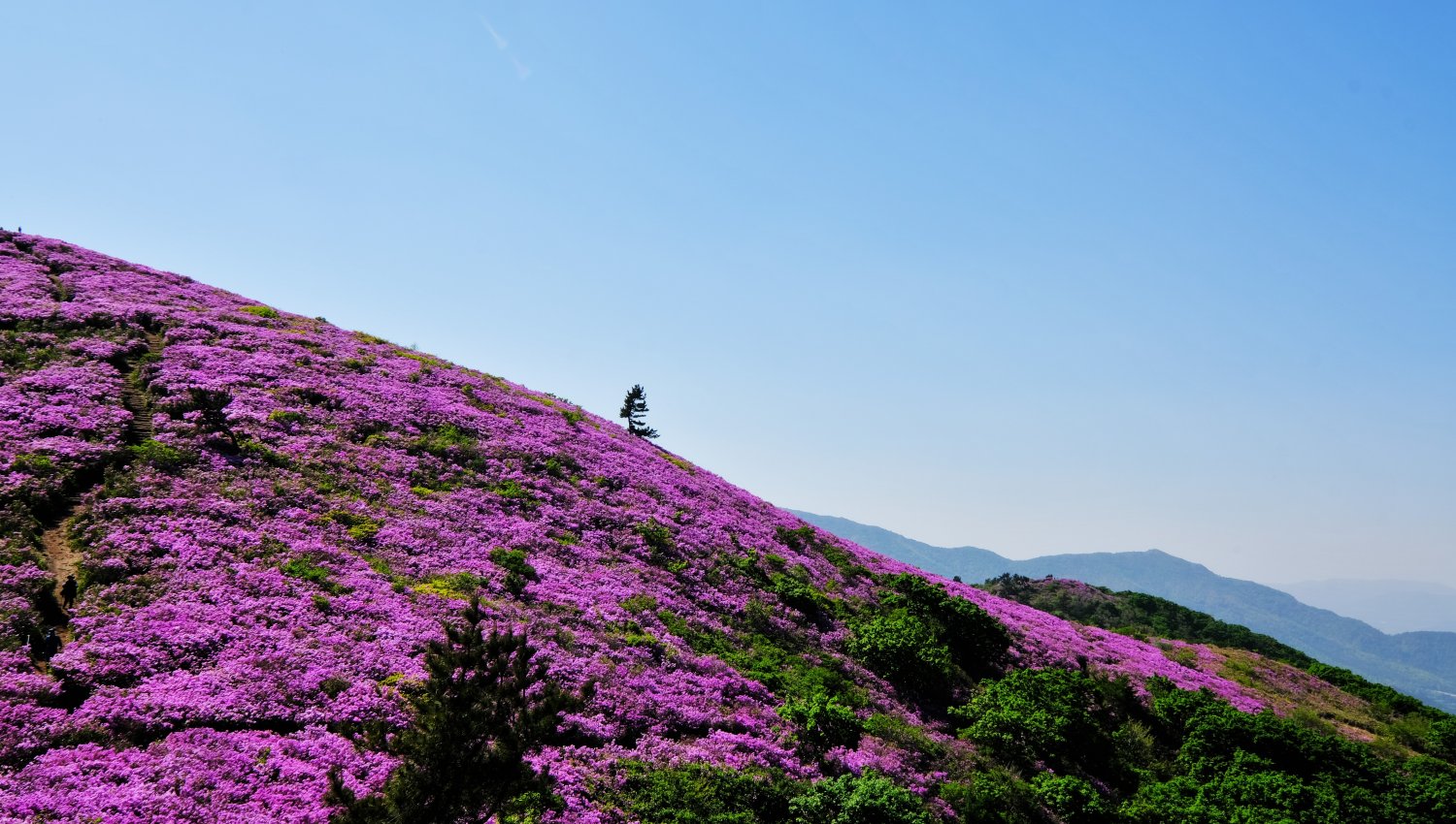 20190507183759_iwkiuzaw.jpg