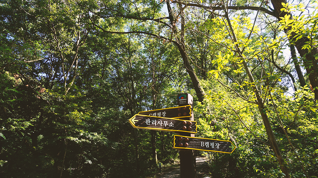 천안 태학산자연휴양림 데크캠핑 SOLO CAMP 후기 - 뽐뿌:캠핑포럼 천안 태학산자연휴양림 데크캠핑 SOLO CAMP 후기