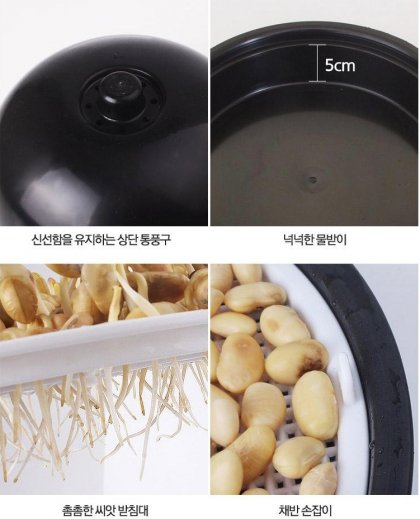 이미지 21.jpg