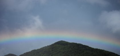 _DSC1412.jpg