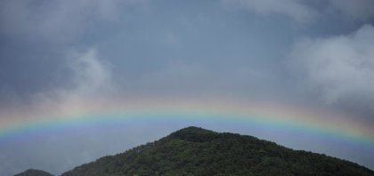 _DSC1413.jpg