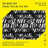 Sheep inside the box