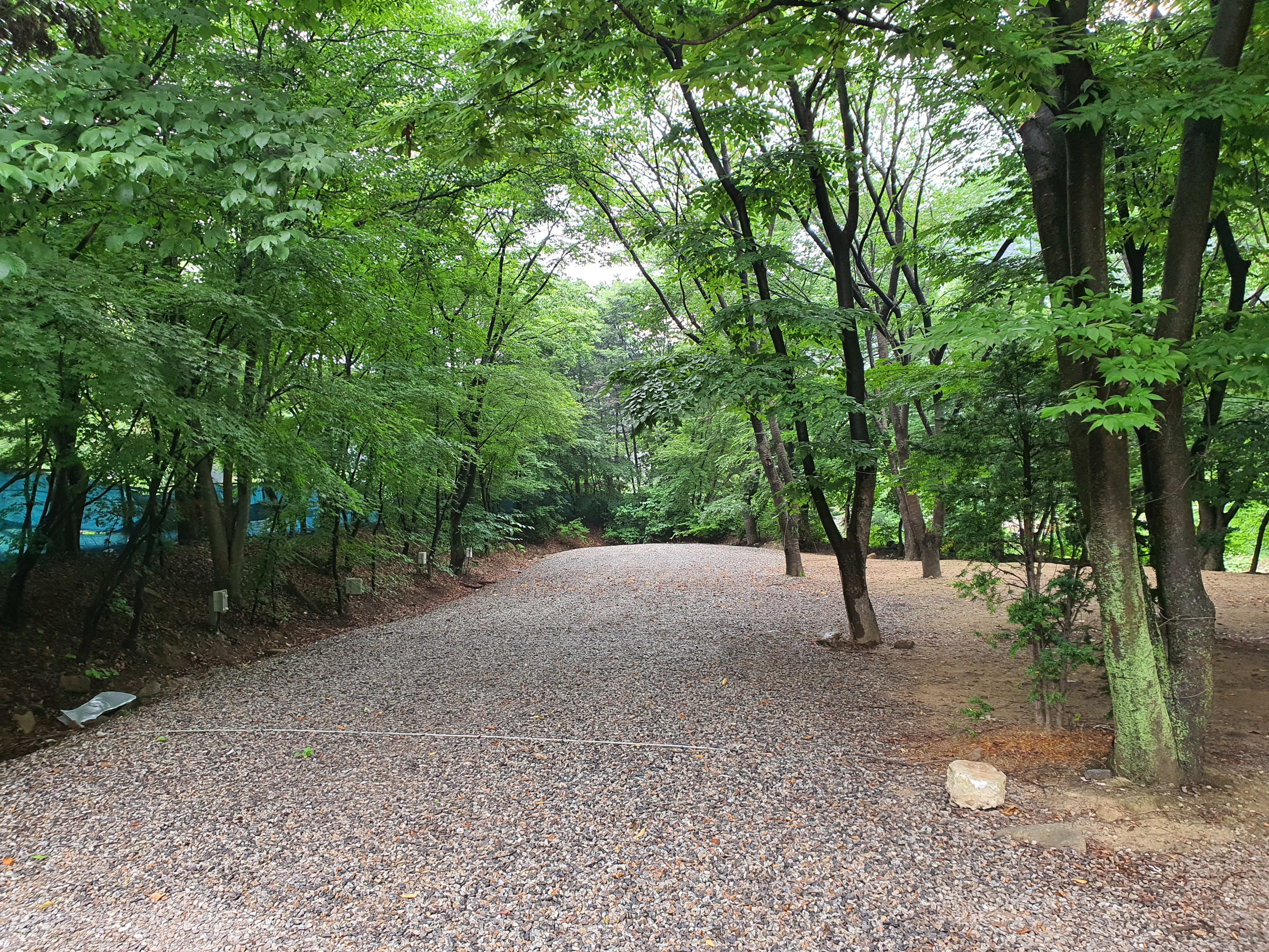 파주 태양힐링숲 캠핑장 후기 - 뽐뿌:캠핑포럼 파주 태양힐링숲 캠핑장 후기