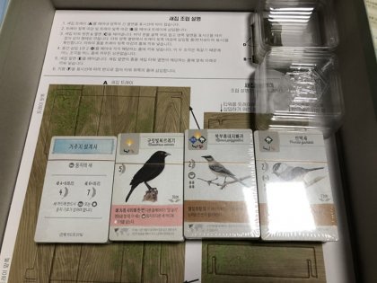 IMG_4195.png