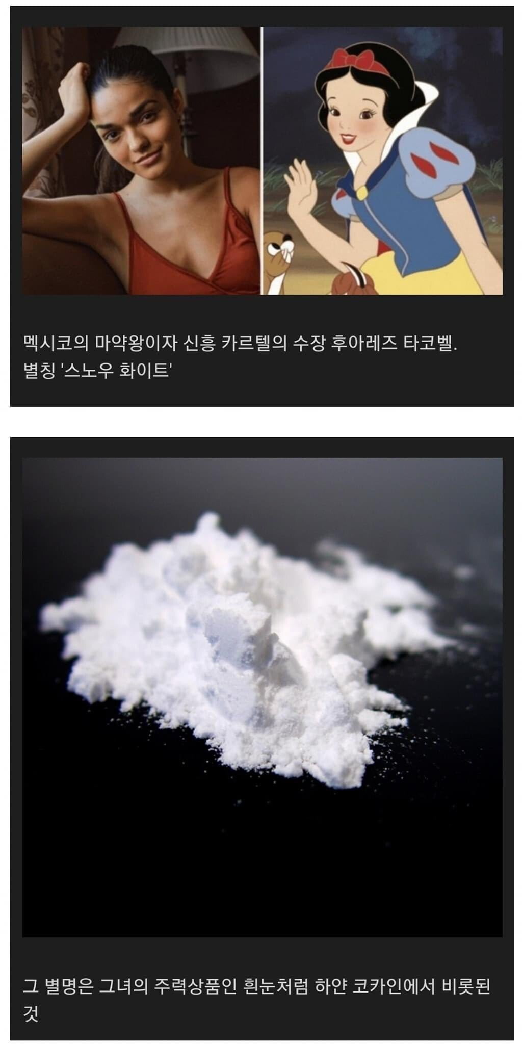 흑설공주 영화 대박치는법.JPG - 뽐뿌:유머/감동 흑설공주 영화 대박치는법.JPG