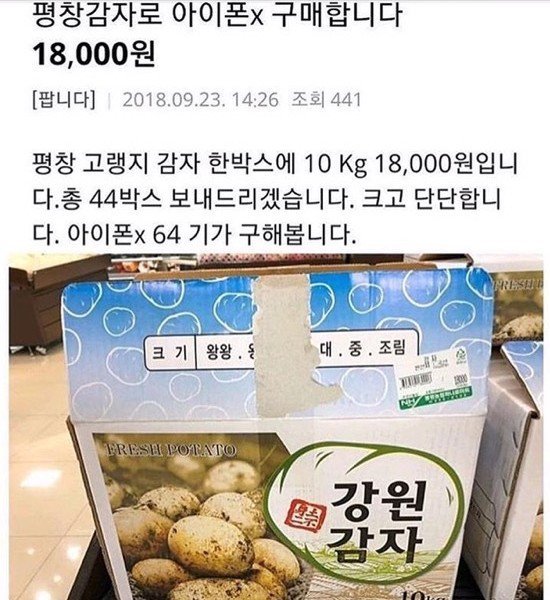 강원도 감자 화폐 드립이 뜬 이유 - 뽐뿌:자유게시판 강원도 감자 화폐 드립이 뜬 이유