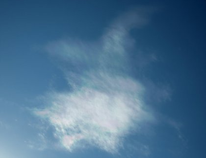 _DSC7453.jpg