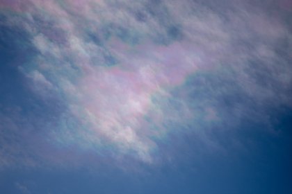 _DSC7455.jpg