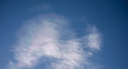 _DSC7457.jpg