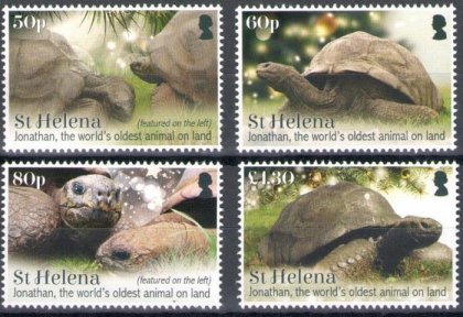 STH-Jonathan-the-worlds-oldest-animal-on-land-Mint-Set-wpv_800x.jpg