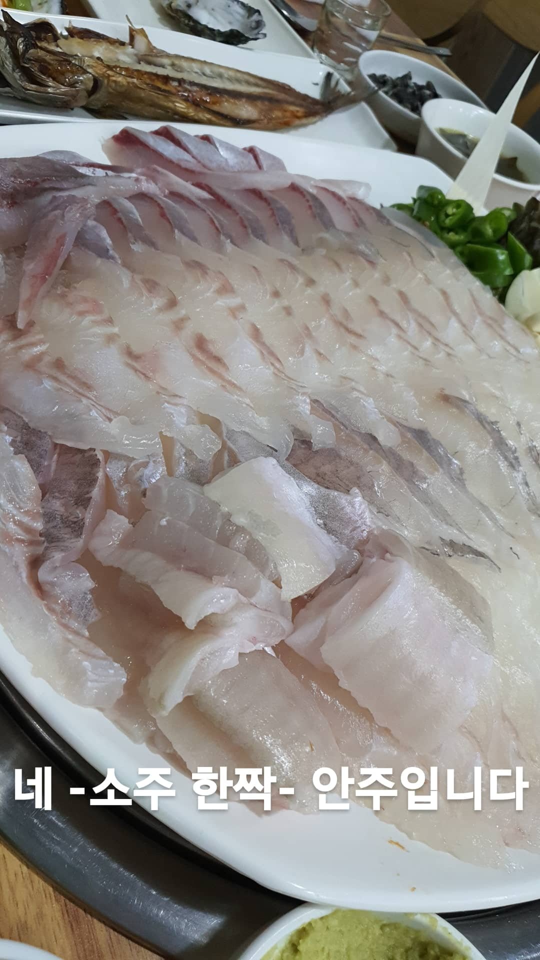 회먹고싶다 - 뽐뿌:자유갤러리 회먹고싶다