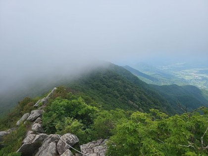 PHOTO_20220729_101853.jpg