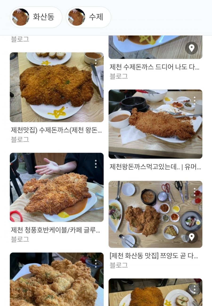 호불호 갈리는 왕돈까스 1인분.JPG - 뽐뿌:자유게시판 호불호 갈리는 왕돈까스 1인분.JPG