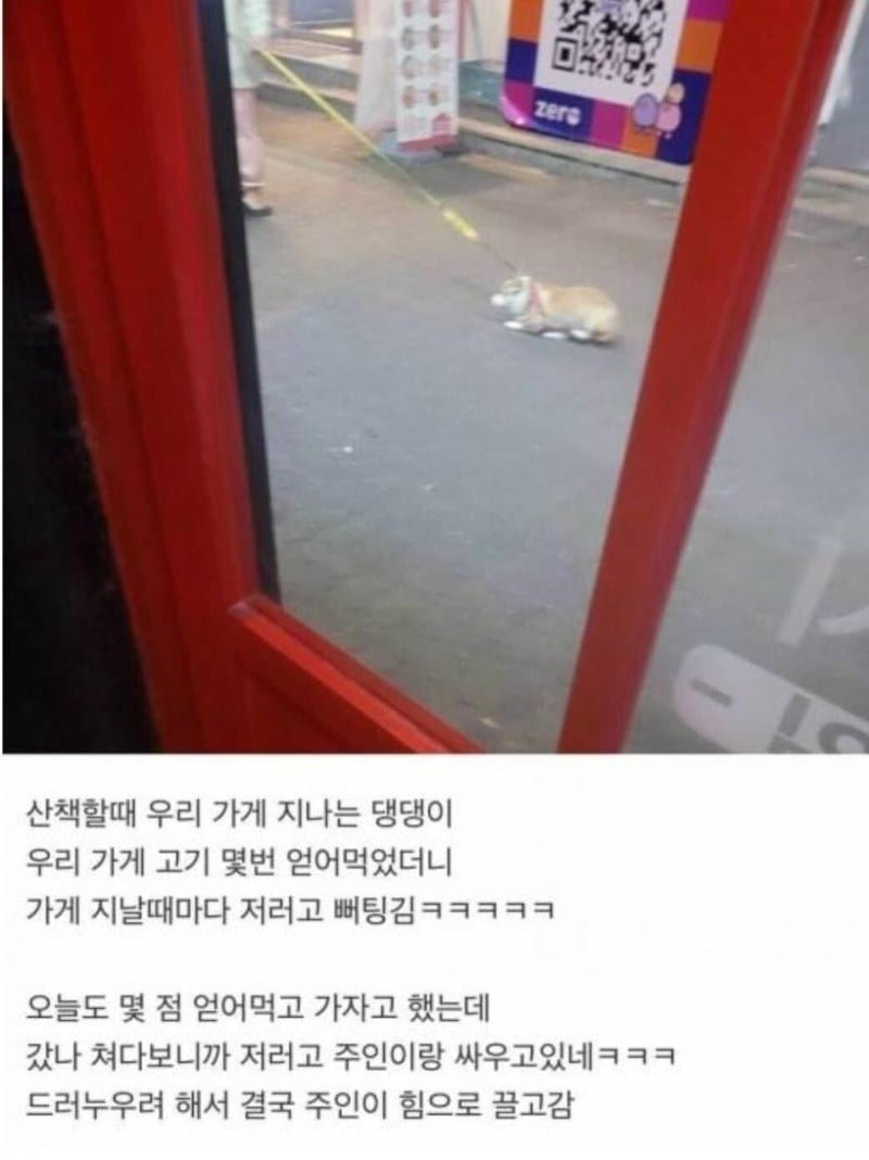 고깃집 앞에서 주인과 싸운 강아지 - 뽐뿌:유머/감동 고깃집 앞에서 주인과 싸운 강아지