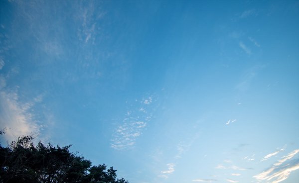 _DSC7661.jpg