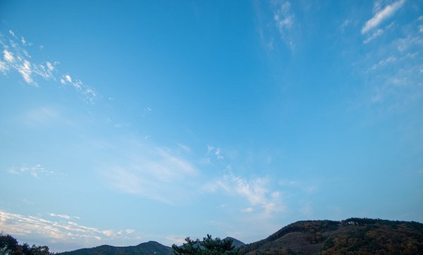_DSC7664.jpg