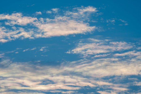 _DSC7669.jpg