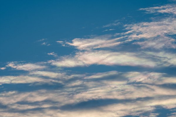 _DSC7667.jpg