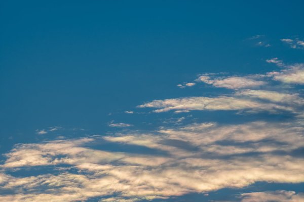_DSC7670.jpg