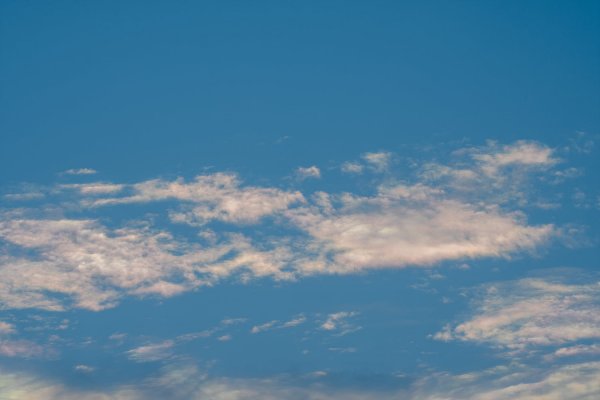 _DSC7672.jpg