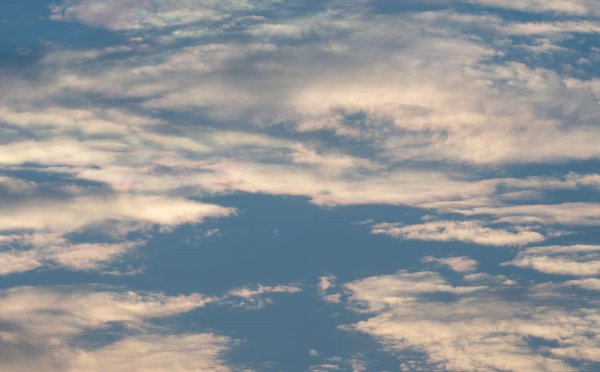 _DSC7673.jpg