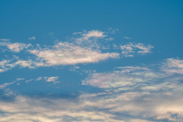_DSC7674.jpg