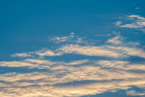 _DSC7675.jpg