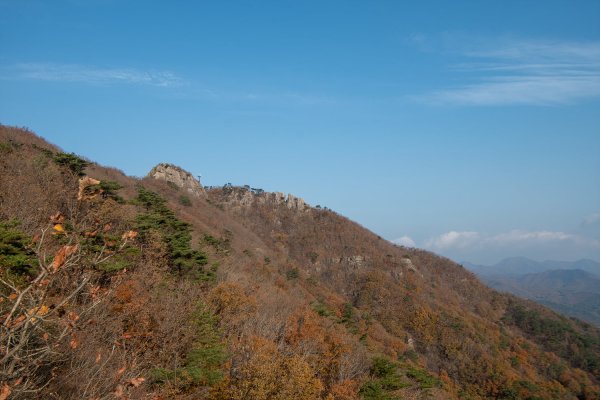 _DSC7707.jpg